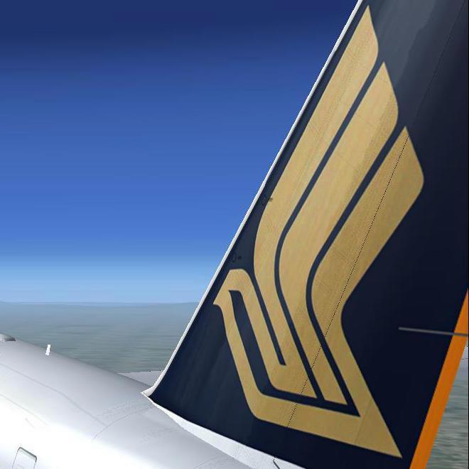 Scoot Virtual Managing Director @ Singapore Virtual Airlines Group