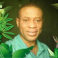 CHRIS NWAOKOLO (@9jatvnetwork) 's Twitter Profile
