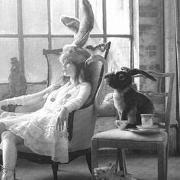 martini00004's profile picture. Cats: Kitty & Fish + Eddie the Pomeranian & Billy the Ferret.