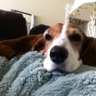 imnotthenurse's profile picture. 