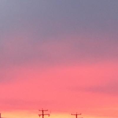 SandyWhores's profile picture. 