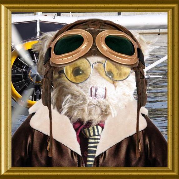 I am a little bear who is travelling a lot. Love to write travel diaries & books.