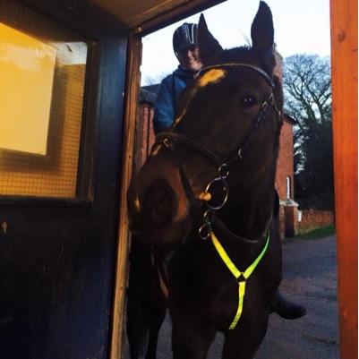 99Kels's profile picture. Samuel James Roberts❤️  Jaffa, Halo & Robbie 🐴🐶🐱🖤