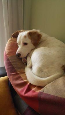 chusovie's profile picture. 