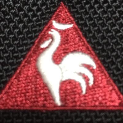 サッカーは鯱党  野球は虎党。