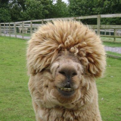 aris01's profile picture. 