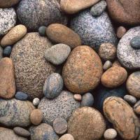 al hashmi@ (@alhashmi5889) 's Twitter Profile