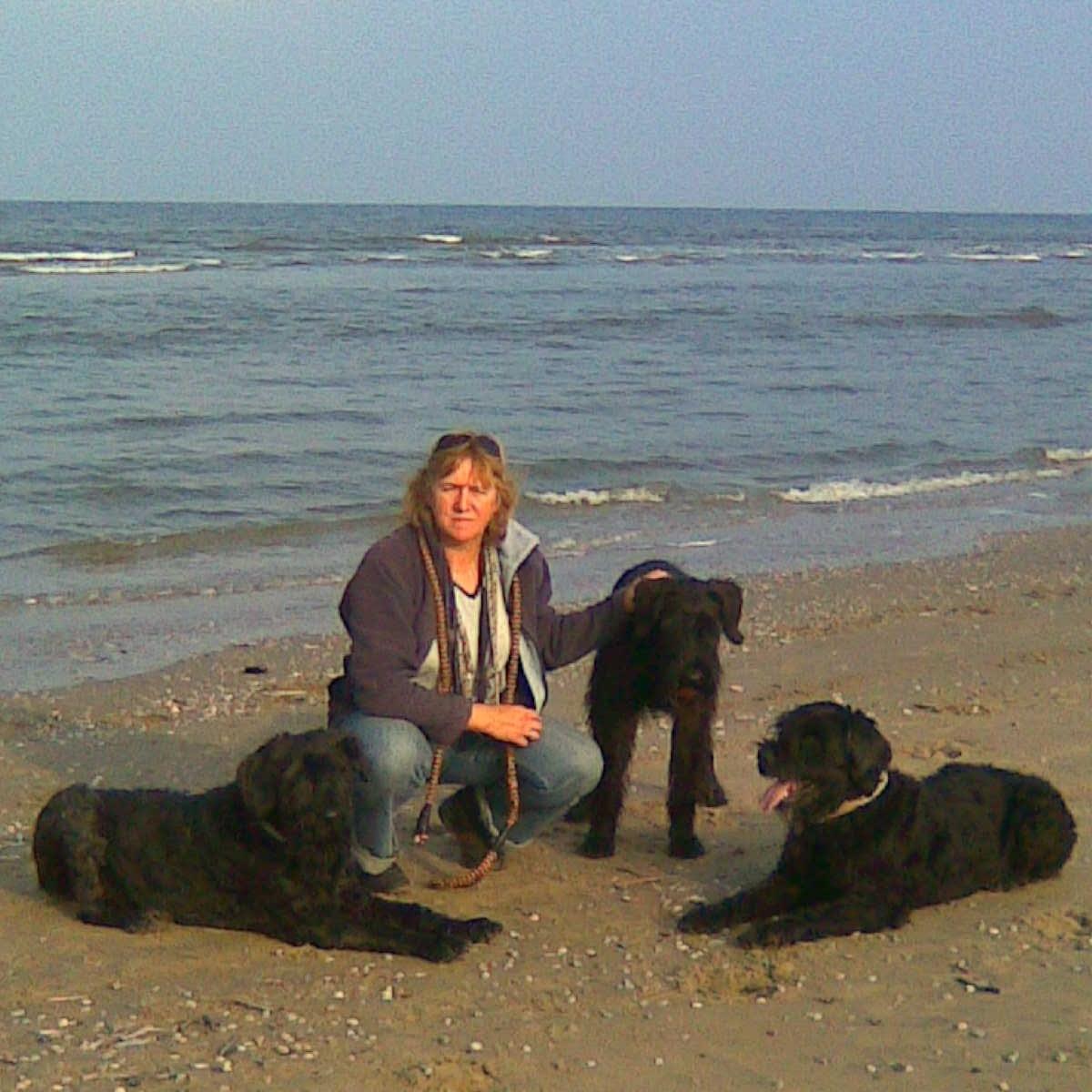 WilKeizer's profile picture. 