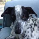 colm healy - @HealyColm - Twitter