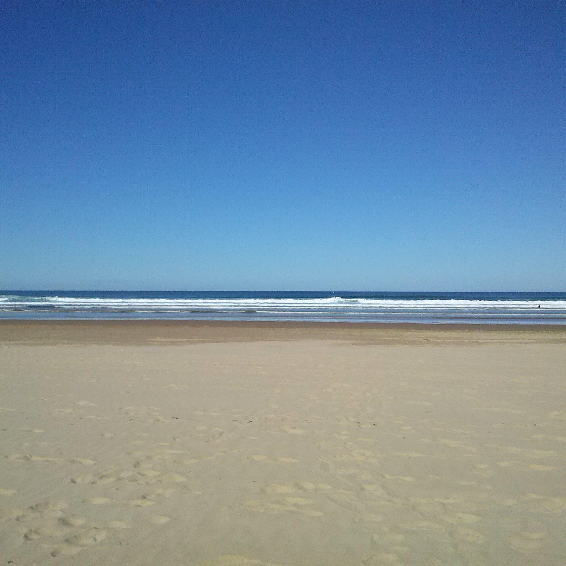 IRAVIDALOK's profile picture. 