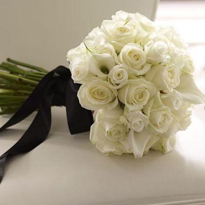 ‏‏‏‏‏‏‏‏‏‏‏‏‏‏‏‏‏‏‏‏طالبة جامعية ‏‏‏‏‏‏❤قلبي ممتلئ بالكثير من الٱمنيات والكثير من الٱحلام ٱسعى لتحقيقها وٱسعى للرقي ديناً,وخلقاً,وفكراً ❤