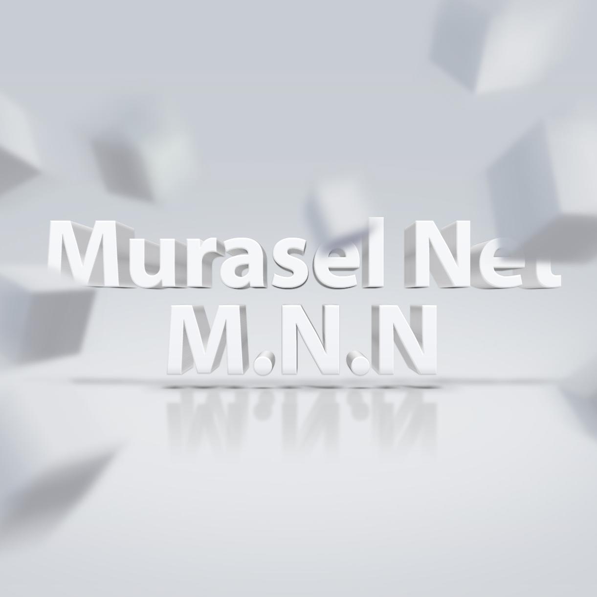 mrasl_NewsN's profile picture.