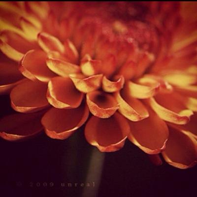 ما أنا سوى بشر... أؤمن بأن ~ نجاحي يحقق ذاتي~ ماضيه ف تحقيق ذاتي متوكله ع ربي فهو ثقتي ورجائي❤ أسأل ربي أن يفتح ع قلبي.. ويهدني..❤