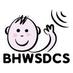 Brighton Hove & West Sussex Deaf Childrens Society (@bhwsdcs) Twitter profile photo