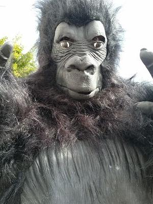 El mas molon de Benidorm, te dejo que te hagas un selfie conmigo si te atreves GRRRrRruuhuhuh