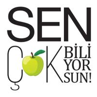 sencokbiliyorsun(@bizcokbilenler) 's Twitter Profile Photo