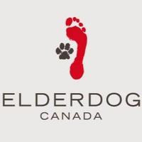 ElderDog Halifax (@elderdoghfx) Twitter profile photo