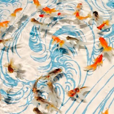 非力な小人です。 態度は大きいです。