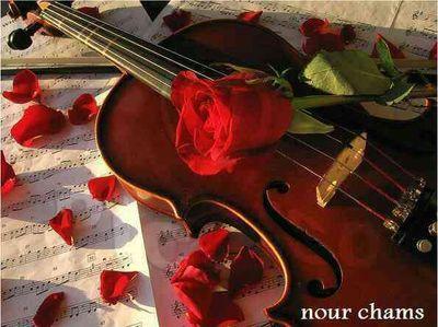 احبك قد م قالوا على وشو ٺحبہ ، واحبك قد م قربك يحول دنيتي جننہ ..