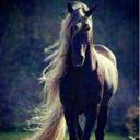 جوج` (@0553698) Twitter