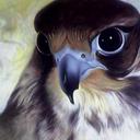 هاري ميلز (@57989d0203134e6) Twitter