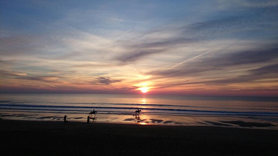 olgoudroye's profile picture. 