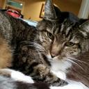 Nadia Dunn Vadia - @VadiaDunn - Twitter