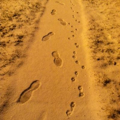 fossilhunter777's profile picture.