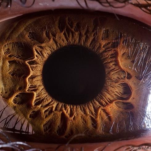 rosadeprata31's profile picture. 