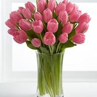 ﮼إحداهن ❀ (@ehdahon) 's Twitter Profile Photo ﮼إحداهن ❀ (@ehdahon) 's Twitter Profile Photo