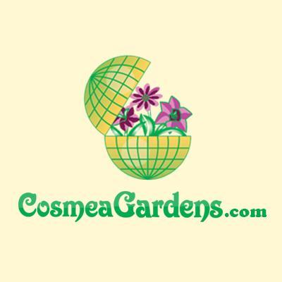 Leading Cyprus Online Florist based in Larnaca with over 30 years of experience.  Send Flowers To Cyprus online! https://t.co/ScX2cnRBle