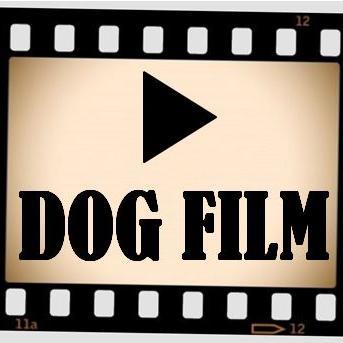 Dogfilm 犬動画まとめ Dogfilm8 Twitter Dogfilm 犬動画まとめ Dogfilm8 Twitter