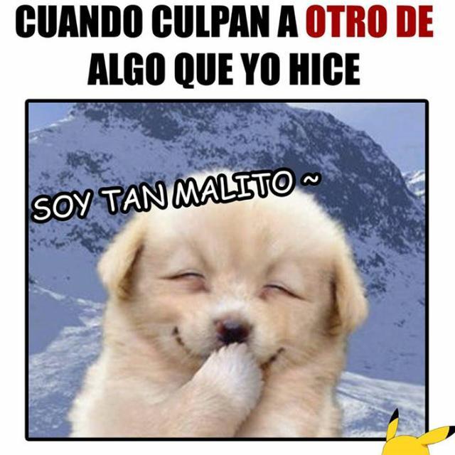 Escorpion19Mm's profile picture. 