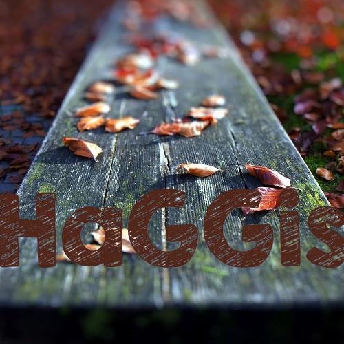 xxHaGGisxx's profile picture. 