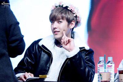 untanin's profile picture. all