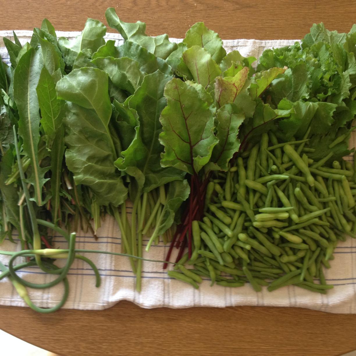 echis's profile picture. Dedicated to freedom and spirituality through my family, drumming, gardening and writing poetry. Life is awesome!