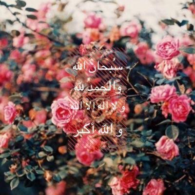 لأنني اححببتك ب قلبا صصادق جدا جعلت هذا الحسساب صدقهه لك وكل ملامس جبيني الأرض دعوت لكك$' @koki264