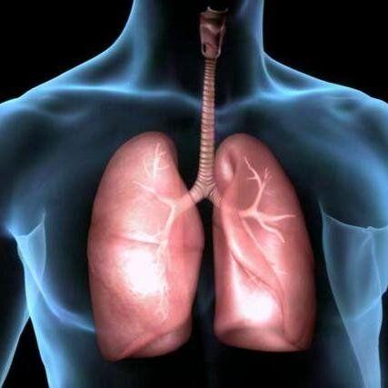 CIRUJANO DE TORAX. PATOLOGÍAS QUIRÚRGICAS DE VIAS AEREAS, PULMONES Y PARED TORÁCICA. ESTUDIOS DIAGNÓSTICOS EN TORAX Y VIAS AEREAS.  3175835890