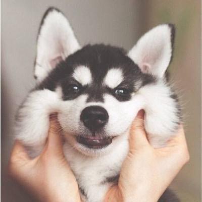 abhdbfajbfewb's profile picture. 