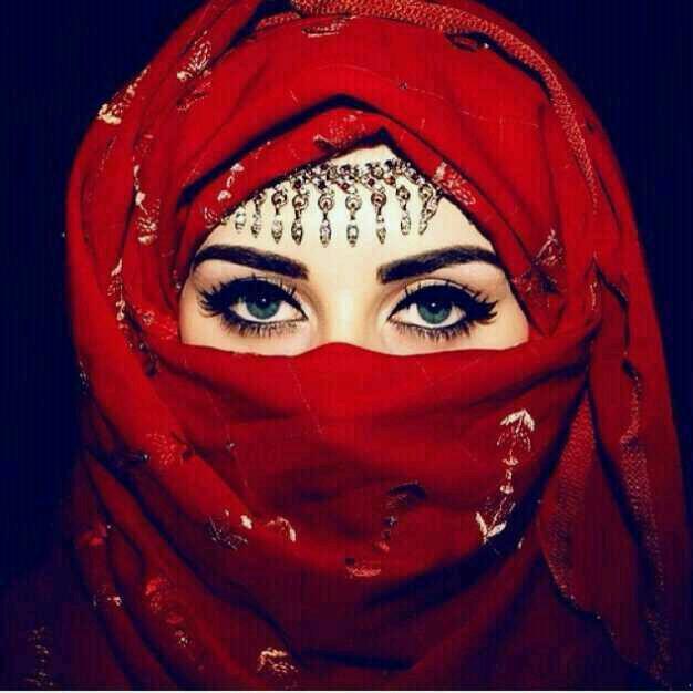 alamal2477 Profile Picture
