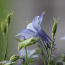 Amy Byrd - @byrd746 - Twitter