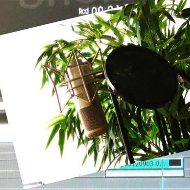 franzbprojekt's profile picture. Multimedia