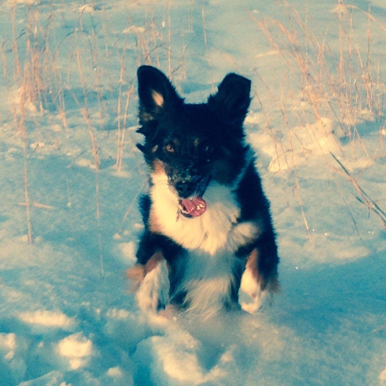 blastsoccer's profile picture. 