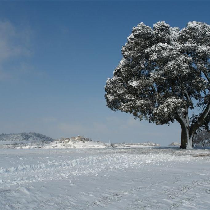 pagesmonfar's profile picture. 