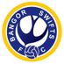 Bangor Swifts (@bangorswifts) Twitter profile photo