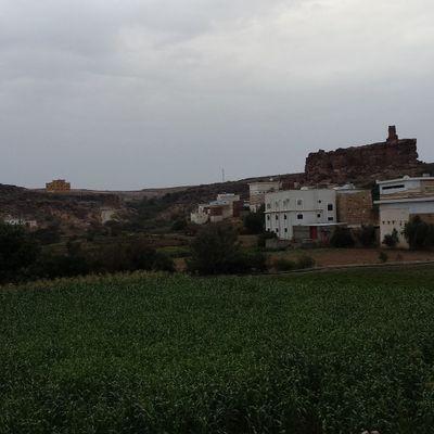 كل من عليها فان ويبقى وجه ربك ذو الجلال والإكرام