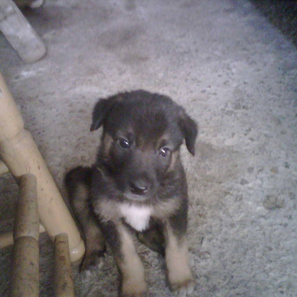 valbuercas's profile picture. 