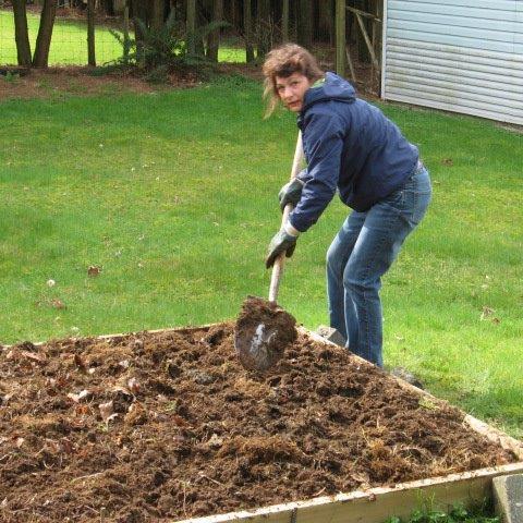 MatsenT's profile picture. Office Fairy during the week. Transforming my front lawn into an edible garden.