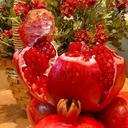 بیریا (@0703303830L) Twitter