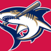 Nassau Sand Sharks (@sandsharksbball) Twitter profile photo Nassau Sand Sharks (@sandsharksbball) Twitter profile photo
